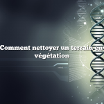 Question : Comment nettoyer un terrain envahi par la végétation